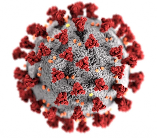 С 2024 года прививки от коронавируса Минздрав хочет сделать обязательными по эпидпоказаниям